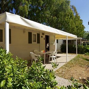 Casa mobile comfort